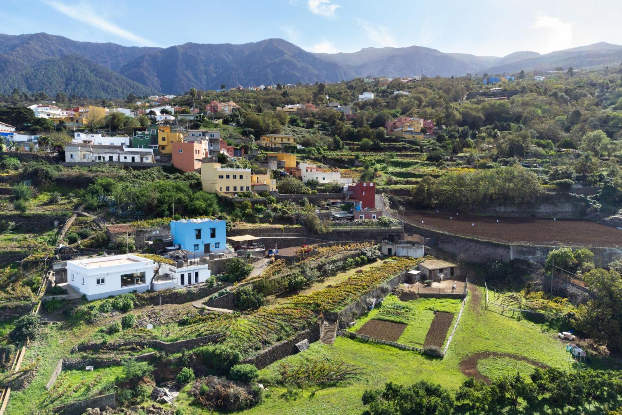 Ek Teide Finca El Milagro La Orotava Exterior photo
