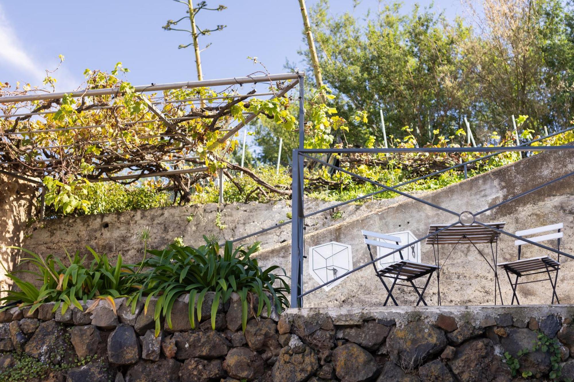 Ek Teide Finca El Milagro La Orotava Exterior photo