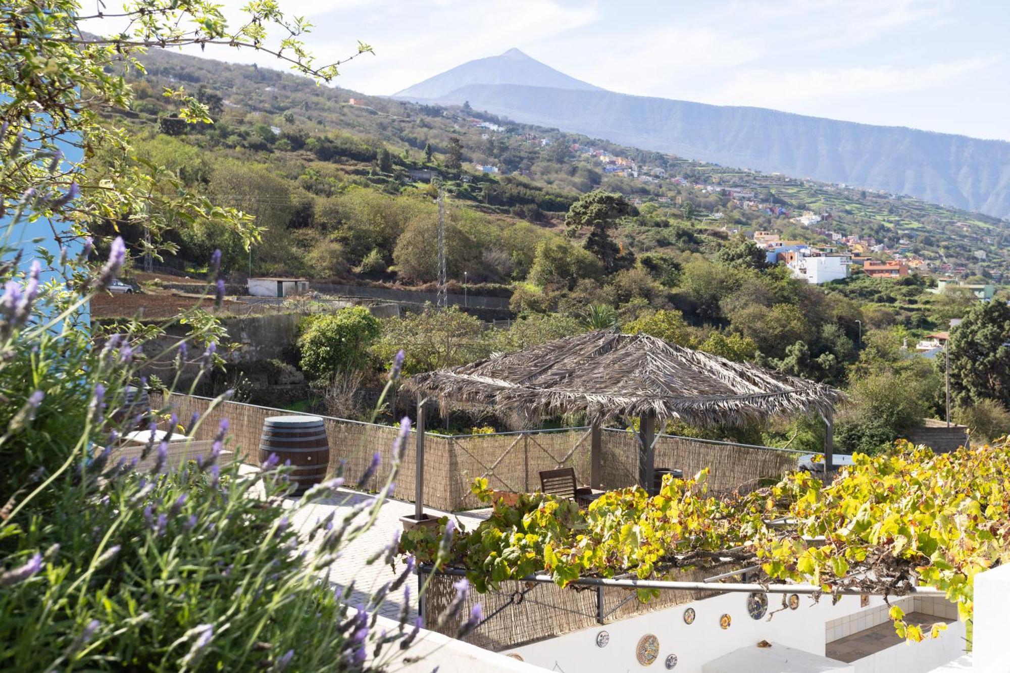 Ek Teide Finca El Milagro La Orotava Exterior photo